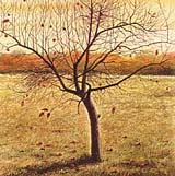 Image from the book