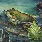 Image from the book